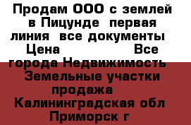 Продам ООО с землей в Пицунде, первая линия, все документы › Цена ­ 9 000 000 - Все города Недвижимость » Земельные участки продажа   . Калининградская обл.,Приморск г.